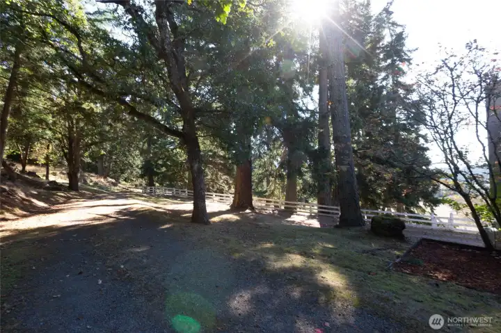Entry Driveway
