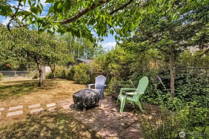 Fire pit in the backyard