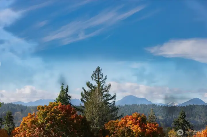 West-facing Olympic Mountain views!