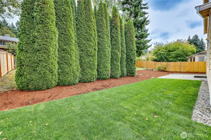 Just off the back patio, the private yard is ready for relaxing!