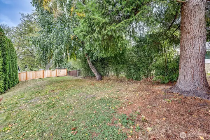 Hide and seek, anyone? :)