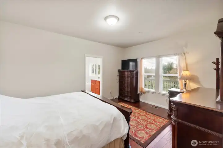 The windows in the primary bedroom face Mt. Rainier.