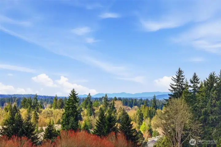 This image captures the southern flank of the Olympic Mountain Range including Mt. Ellinor. The Brothers peaks are to the right, out of frame.