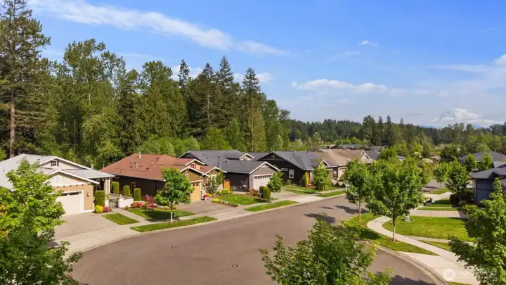 Culdesac with Mt. Rainier on the right