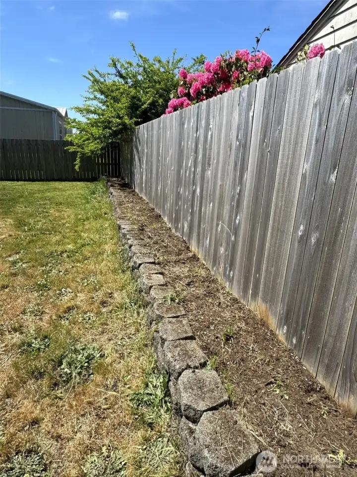 to plant the raised area to plant the raised area