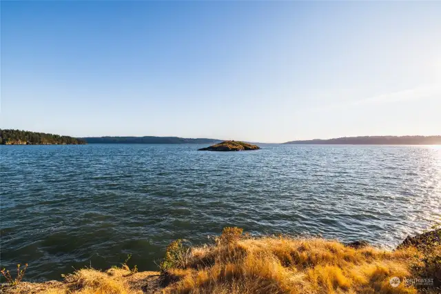 Skagit Bay is so beautiful. This scene is a 2 minute walk from the home.