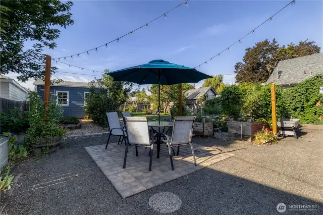 Backyard oasis