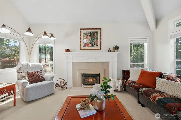 Gas Fire place for cozy winters