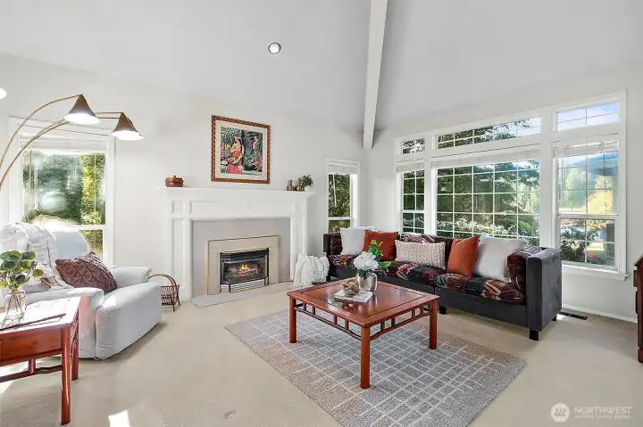 Windows bring the outside in to living spaces