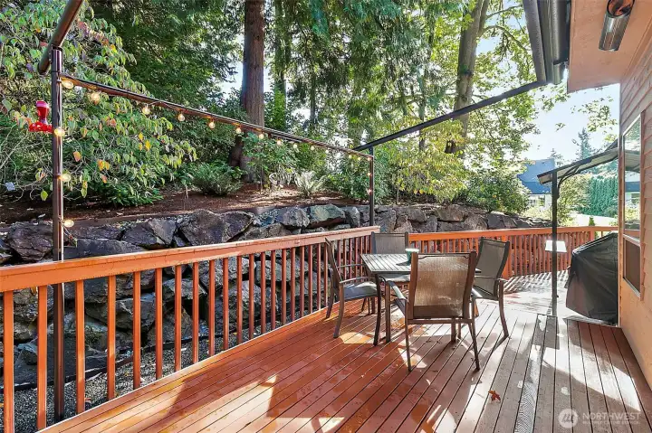 Back yard, privacy trees and grassy side yard