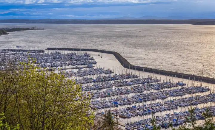 Shilshole Marina from Sunset Park