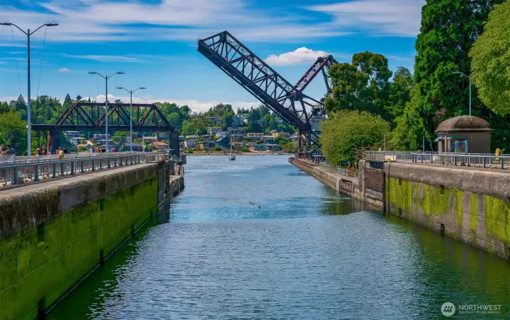 Ballard Locks