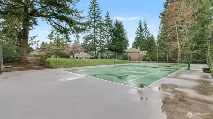 Community sport court is a multi-use area for basketball, tennis, and more.