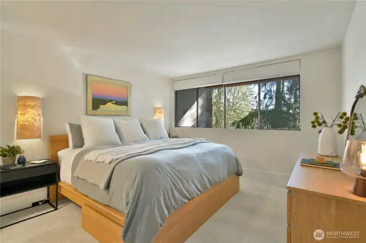 Large bedroom with treated windows. Fits a king bed with plenty of extra space