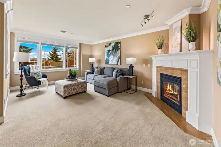 Natural gas fireplace.