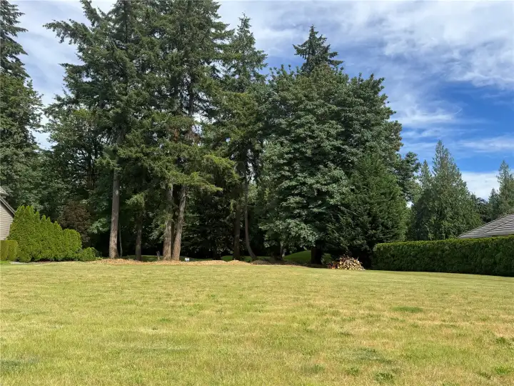 STREET VIEW - Looking towards rear of lot.