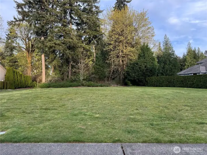 FRONT - Straight on Street View