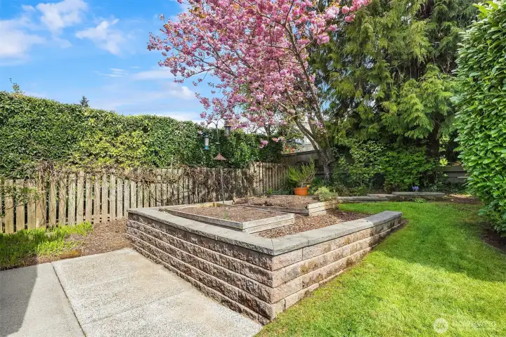 Raised beds for veggies and herbs
