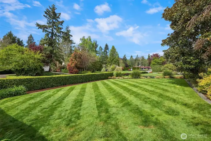 A fabulous street side garden, acting as a buffer from the street.