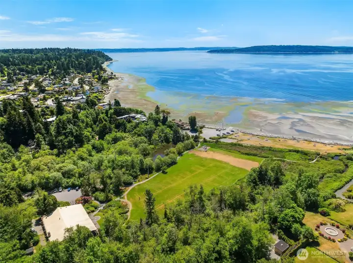 A fun place for furry friends