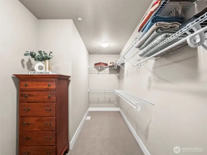 ...as will the large walk-in closet