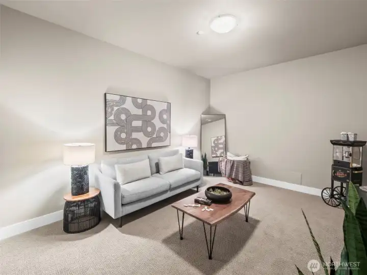 This lower level space is the perfect flex space - gym, media room or finished storage