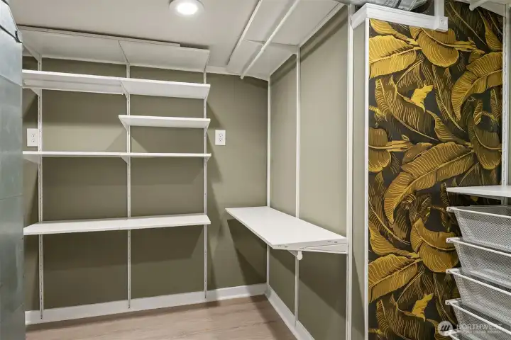 Lower level walk-in closet/storage