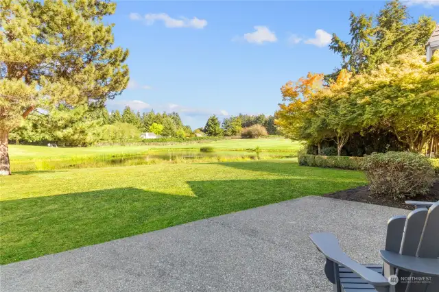Fantastic Rear yard view POND!!!  ** Sod photo shopped.