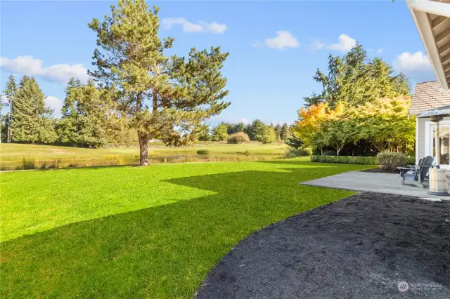 Rear yard - ** Sod photo shopped!