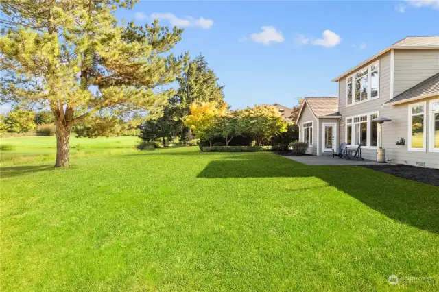 Large rear yard - ** Sod photo shopped. (To be installed prior to closing).
