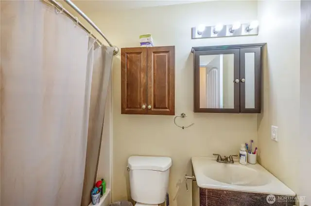 Unit 206 Bathroom