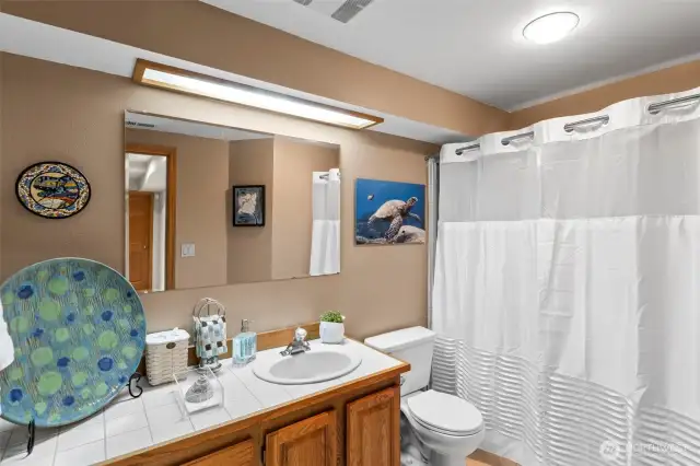 The basement guest bath host a walk in shower with not one but two shower heads.