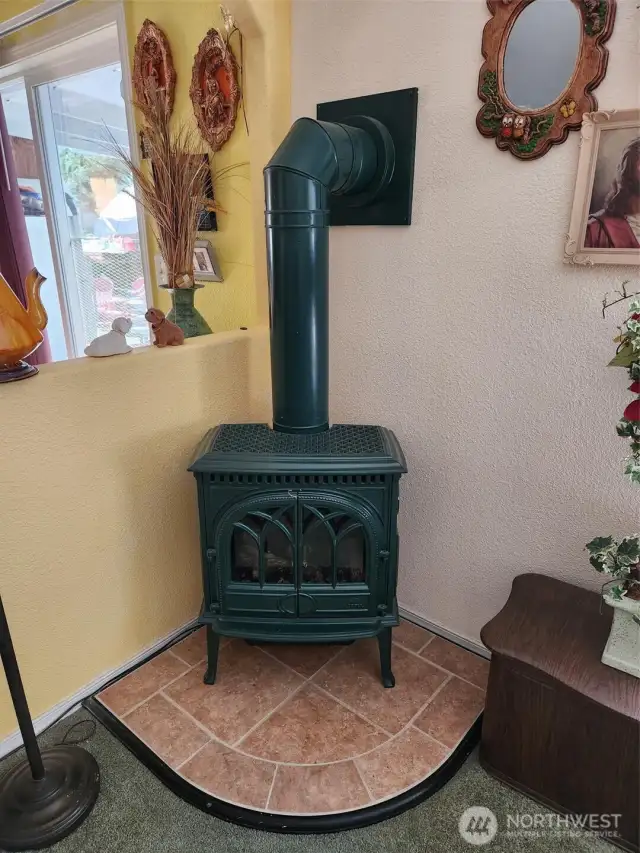 Propane fire place.