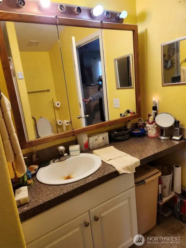 Sink in master bath.