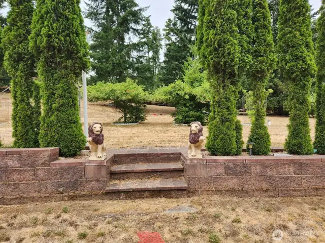 Stairway to the orchard