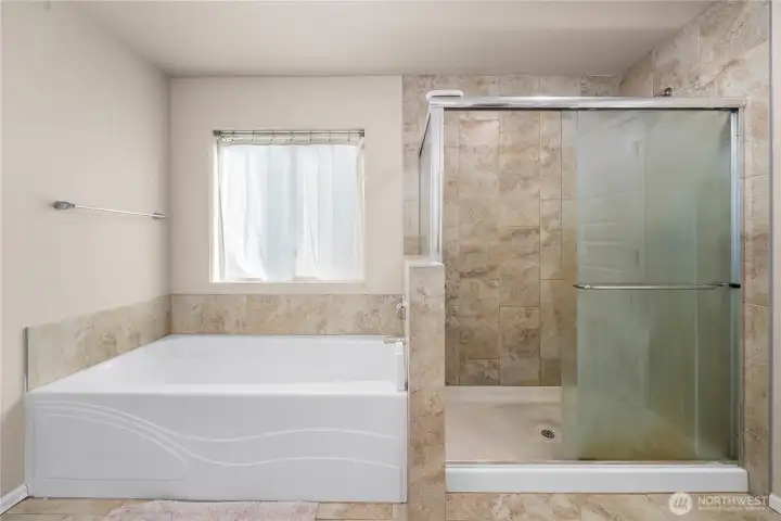 Primary tub and shower