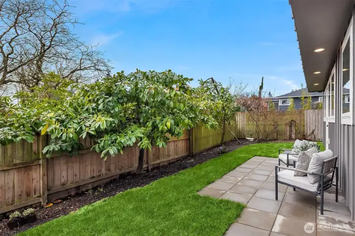 Backyard and patio. Fenced and all yours!