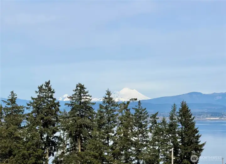 Views of Mt Baker can be seen from most of the property.