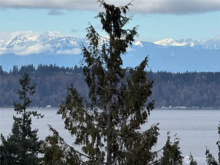 Zoomed View of Olympics on a Clear Day!