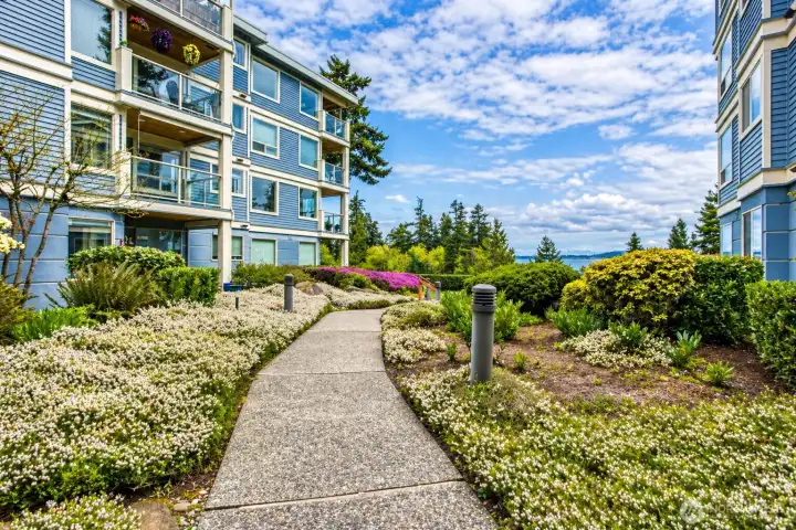 Path to Beautiful Backyard 1