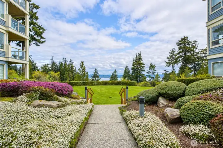 Path to Beautiful Backyard 2