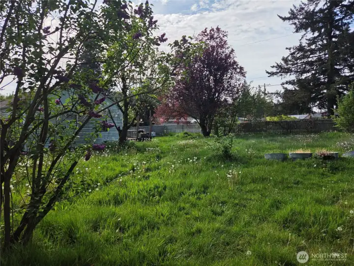 Yard