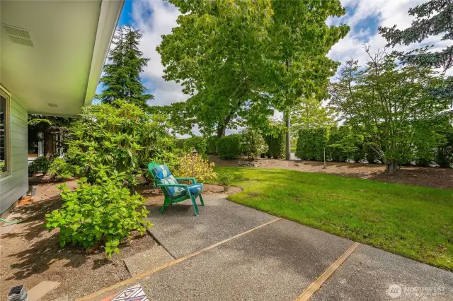 Back yard and patio