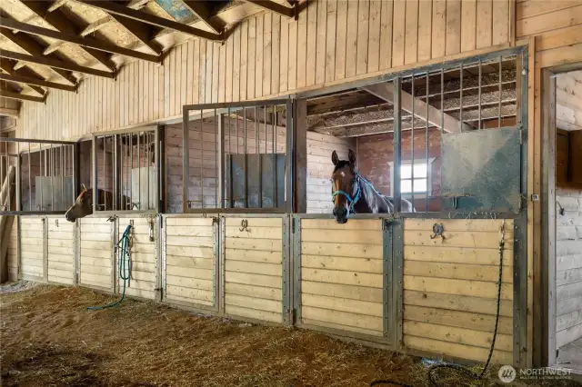 Two oversized 14X6 stalls that can be divided into 4 stalls if needed