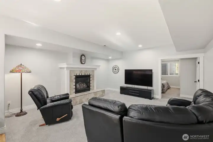 Lower level Living Room