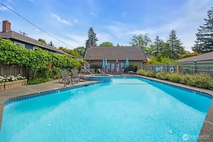 Pool & Hot Tub