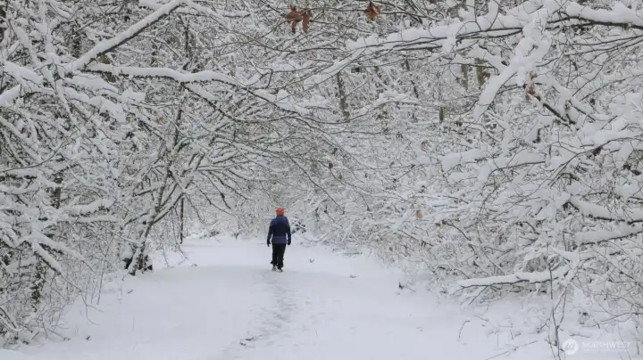 The snowy winter scenery of walking trail