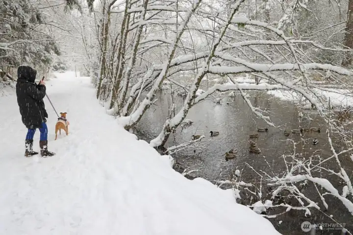 The snowy winter scenery of walking trail
