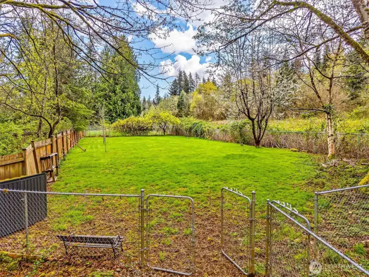 Fully fenced orchard with dog run gate to the right.
