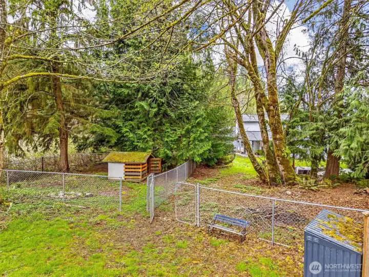 Dog run on the left.